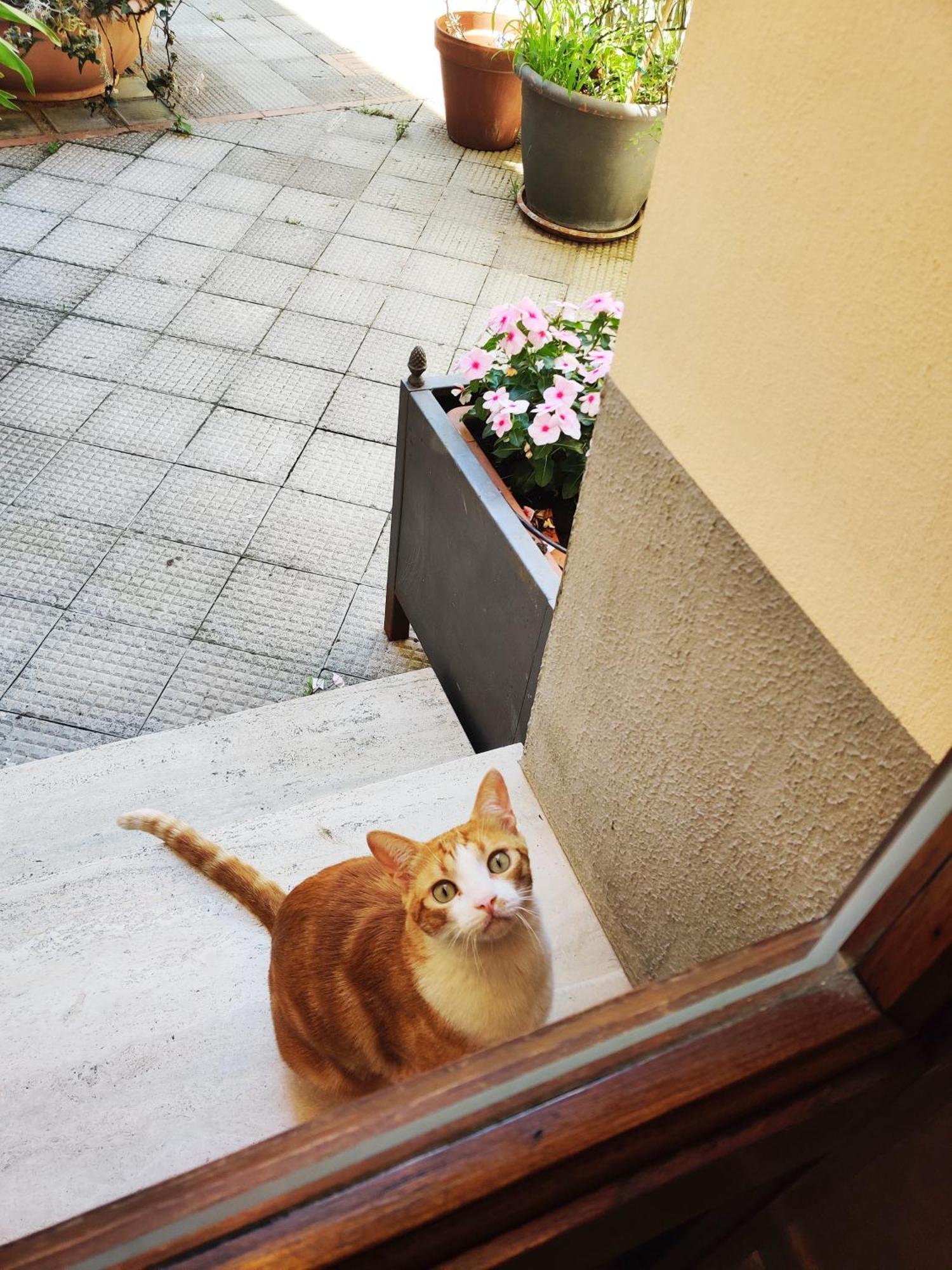 B&B Gattacicova Cava deʼ Tirreni Quarto foto